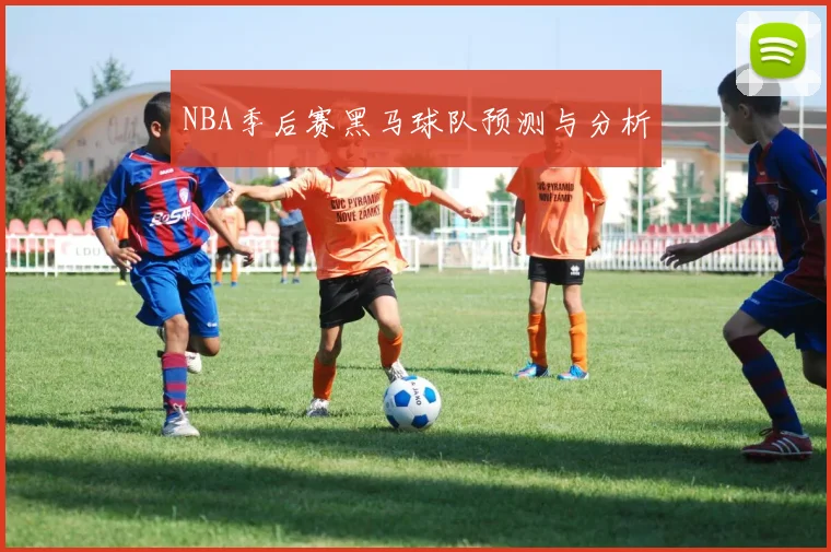 NBA季后赛黑马球队预测与分析